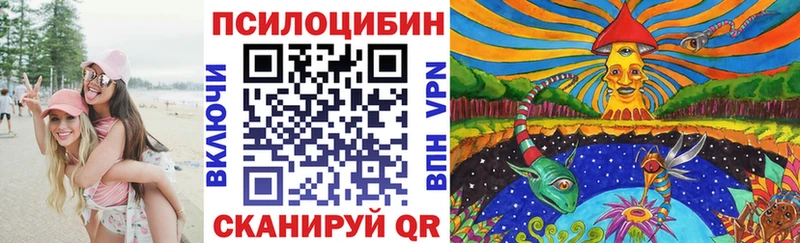 где продают наркотики  Таруса  Псилоцибиновые грибы прущие грибы 